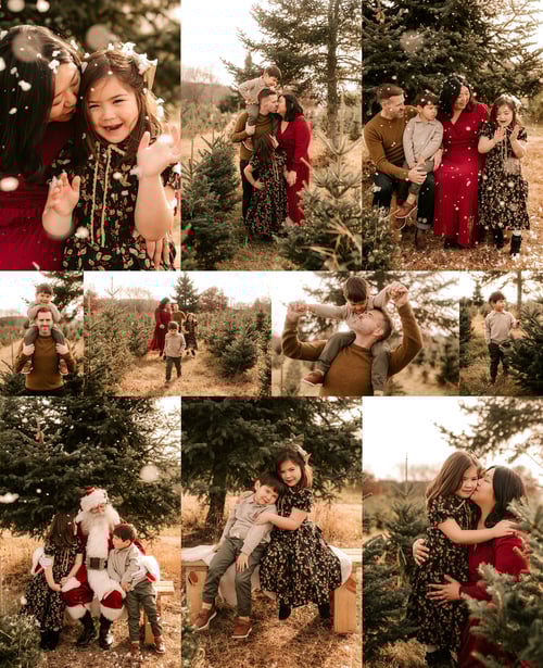 Image of LET IT SNOW- TREE FARM MINIS -  2025 $475