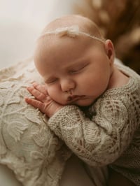 Image 3 of Jardin pillow