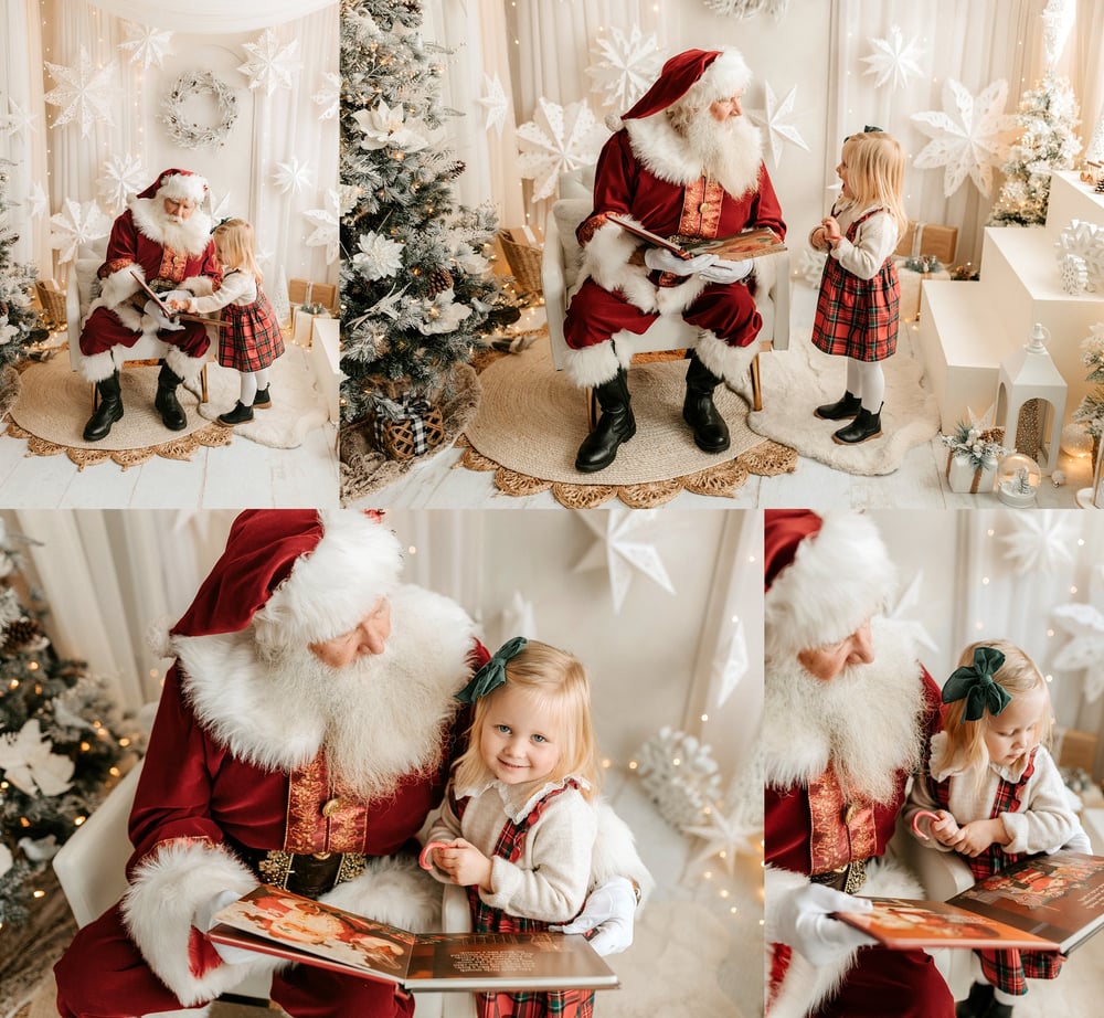 Image of SANTA MINIS -2025 $375