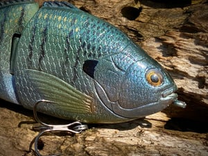 Image of 6” Ann Xslowsink (Schooler)