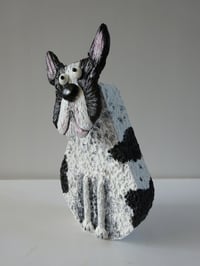 Image 2 of French Bulldog
