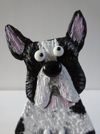 Image 5 of French Bulldog