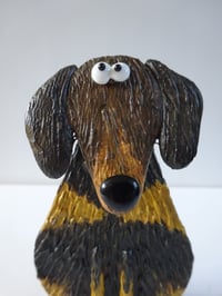 Image 3 of Dachshund