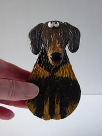 Image 4 of Dachshund