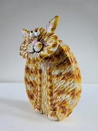 Image 5 of Ginger Cat