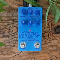 Image 1 of Verbena *PRE-ORDER*