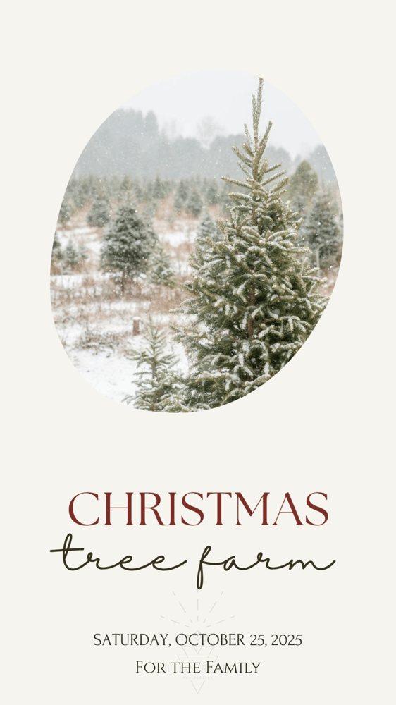 Image of Tree Farm - fall or holiday