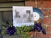 Image of LINDA SMITH / THE SMASHING TIMES - 'Split 7" EP' 