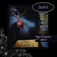 Image 3 of ☽ Fagus Purpurea ☾