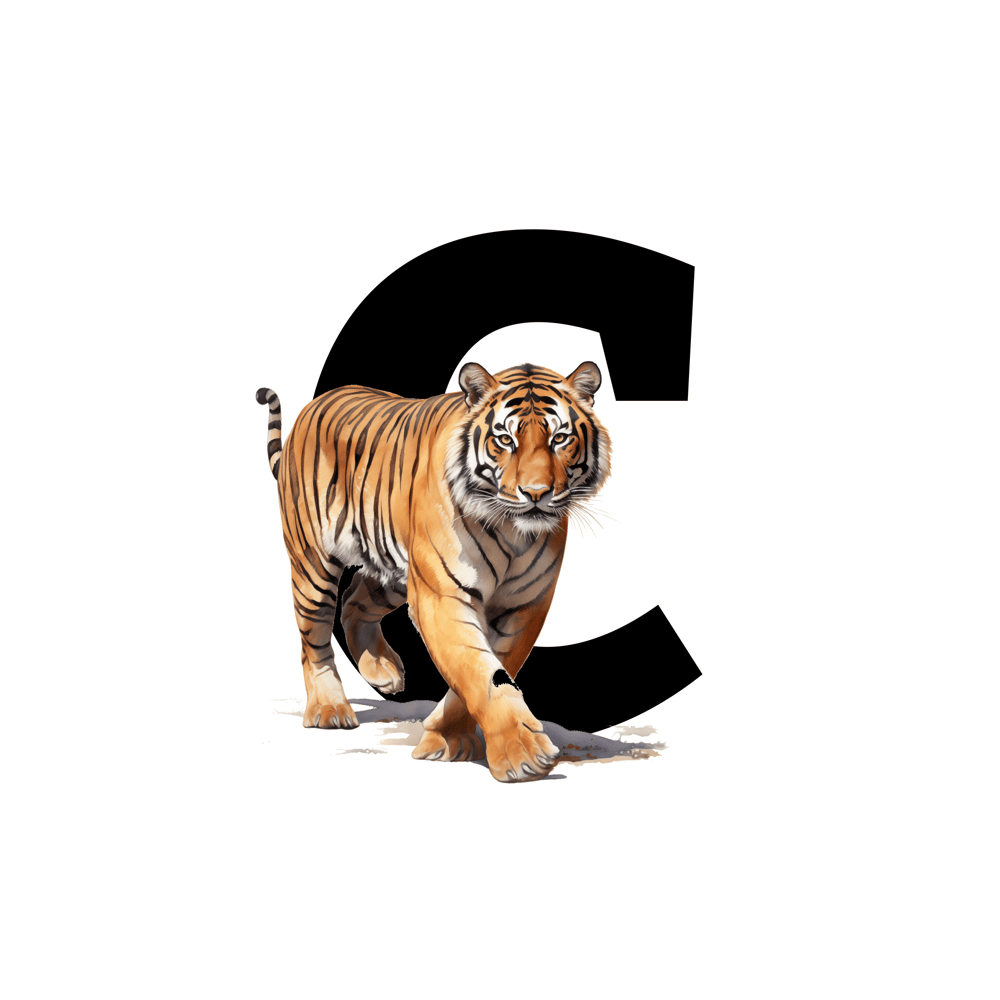 Image of Graphic Design