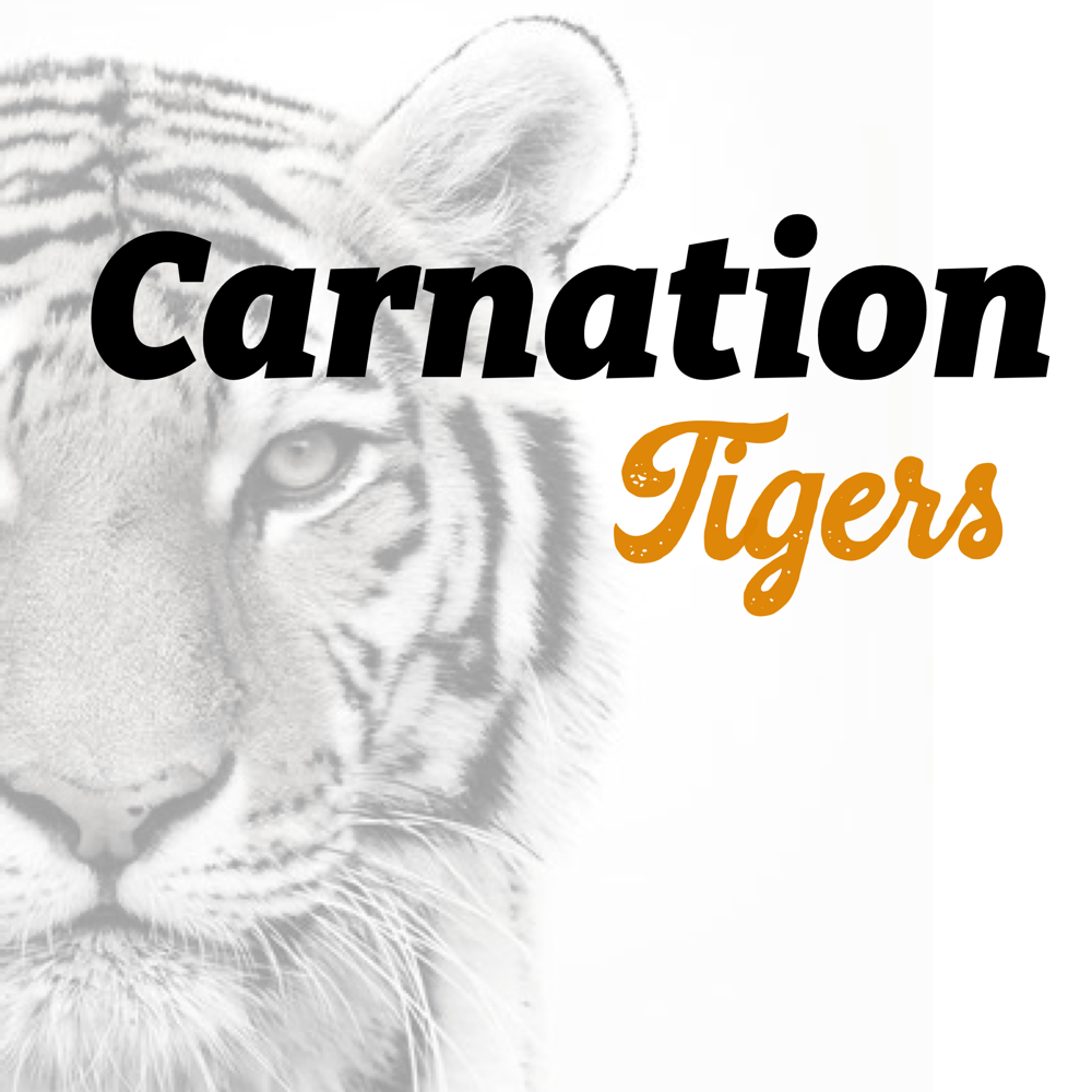 Image of Graphic Design