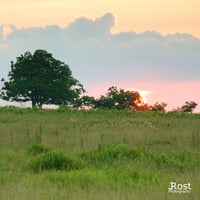 Sunset At Shenandoah (4005)