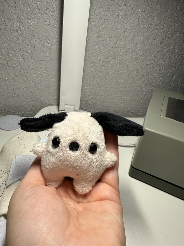 Image of Tiny pup