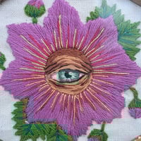 Image 2 of Filoculus : Fraise