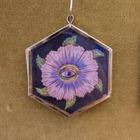 Image 1 of Filoculus : Moretón