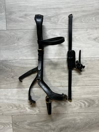 Image 5 of Micklem Training Bridle – Black – Horse Size