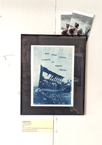 Image 3 of Peter Iredale Shipwreck Cyanotype