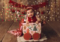 Image 12 of X-MAS Baby Wagon 