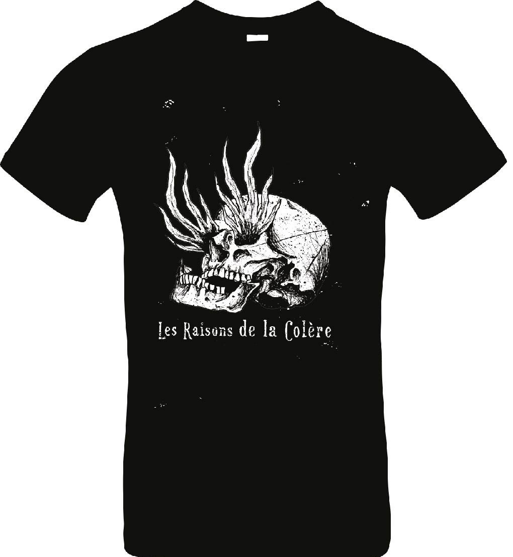 Image of LES RAISONS DE LA COLERE 