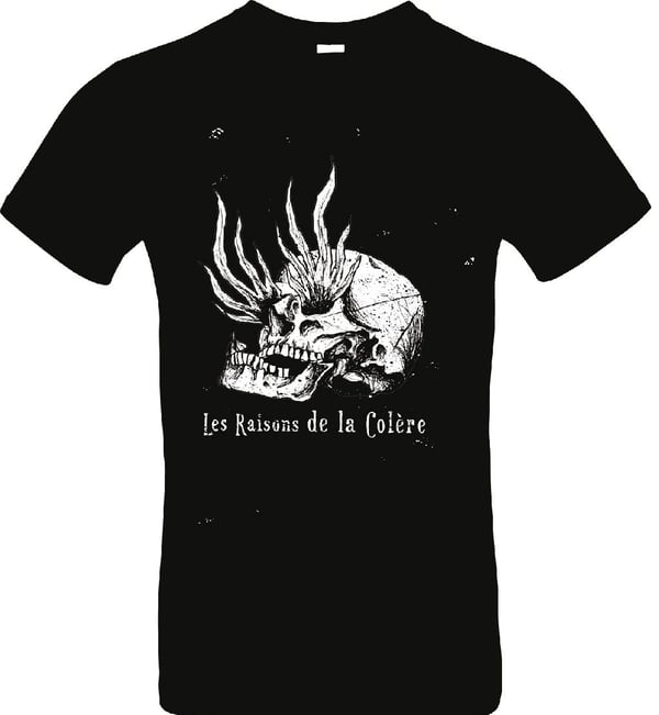 Image of LES RAISONS DE LA COLERE 