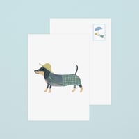 Image 4 of DACHSHUND TECKEL