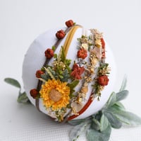 Image 1 of Harvest Bloom Collection