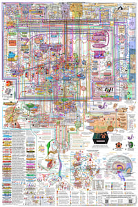 Full Brain Map Poster