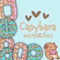 Image 1 of Capybara Overpatches