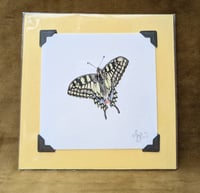 Image 2 of NEW! - Small Giclée Prints - Mounted and Signed