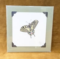 Image 3 of NEW! - Small Giclée Prints - Mounted and Signed