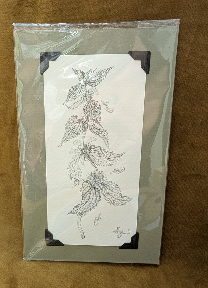 Image of Small Giclée Prints - Mounted and Signed