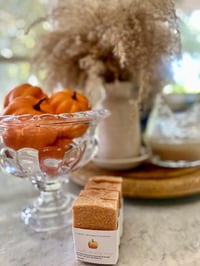 Image 2 of Pumpkin Coconut Milk Sea Salt in Cranberry Orange Peel