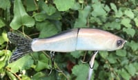 Image 2 of SPEEDBAITS Custom Airbrushed 6" Swimbait 4915