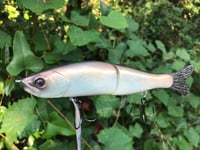 Image 3 of SPEEDBAITS Custom Airbrushed 6" Swimbait 4915