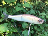 Image 4 of SPEEDBAITS Custom Airbrushed 6" Swimbait 4915