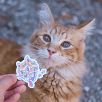 Image 3 of 가자 Gaja Tiger Sticker