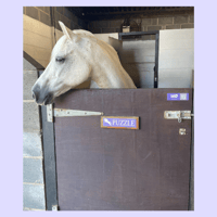 Image 2 of Purple Hello Horse Stable Plate – Includes Lifetime Subscription
