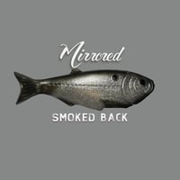 Image 1 of DC SWIMBAITS- Weedless Shad Mirrored 