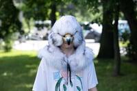 Image 4 of Falcon head Mask