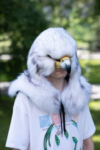 Image 2 of Falcon head Mask