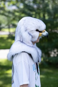 Image 1 of Falcon head Mask
