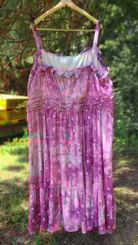 Image 4 of Spanish Lavender