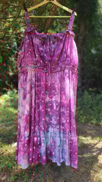 Image 2 of Spanish Lavender