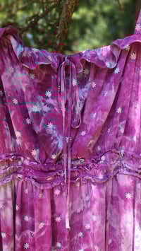 Image 3 of Spanish Lavender