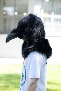 Image 1 of Raven head Mask