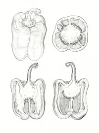 Image 3 of NEW! - Botanical Ink Giclée Prints - Mounted and Signed