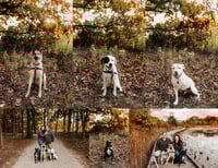 Image 3 of Sweater Weather Fall Minis