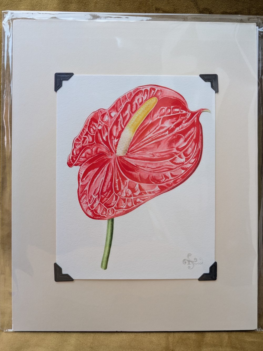 Image of Botanical Giclée Prints - Mounted and Signed