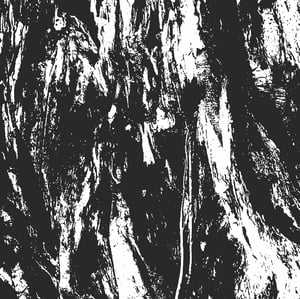 Image of Carved Cross / Empire of Hate – Split 12" LP