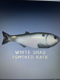 Image 1 of DC Swimbaits- Weedless Shad 6.5"